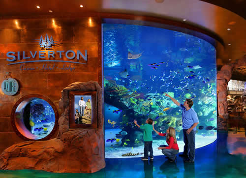 silverton-aquarium.jpg